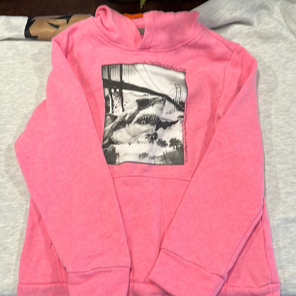 Pink youth boys hoodie